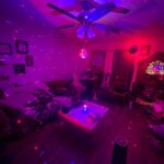 Somebody gave me a free disco ball.party time wooo