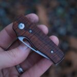 TRM Atlas | Ringed Gidgee Scales