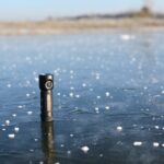 Are we still doing zebras in dangerous places?