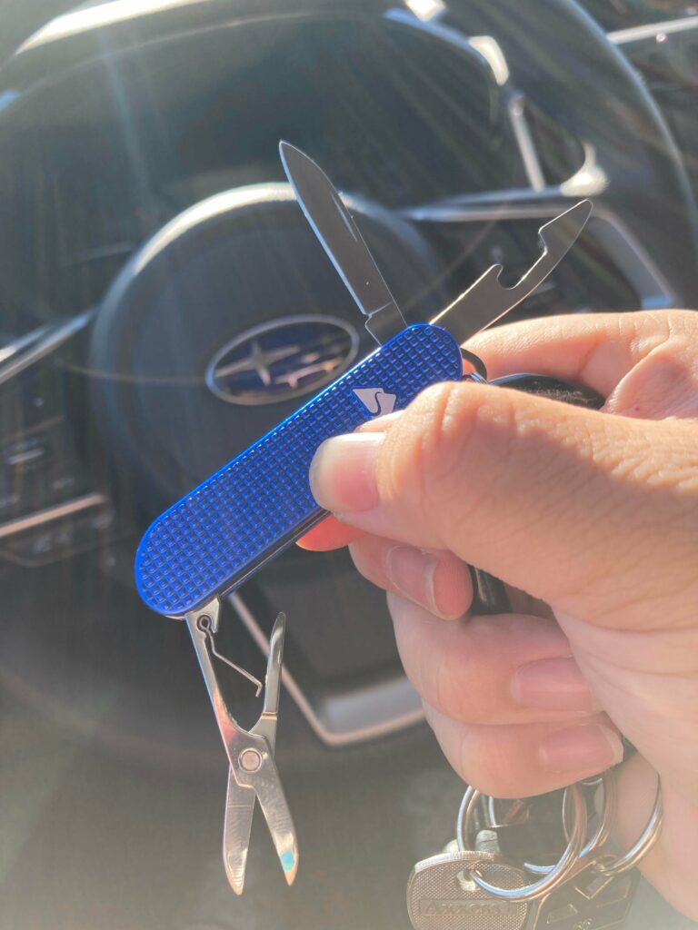 $6 SAK Clone from Walmart