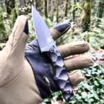 Winter Hike Companion