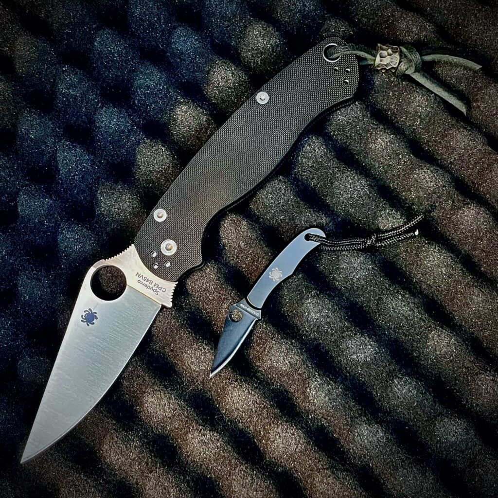 Good combo?
