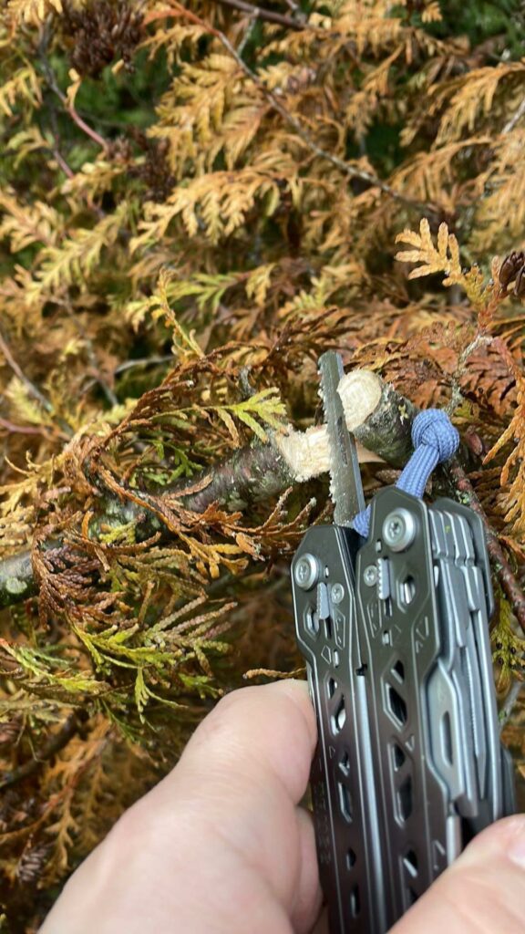 Gerber Truss: Parody of a saw :/