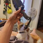 we both like my new knife for different reasons