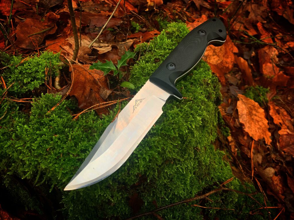 SK Wild Ones Freya