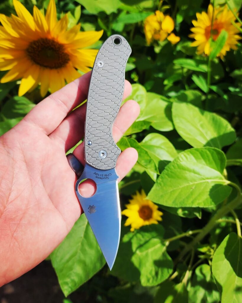 Went sunflower picking today with the wife. Brought the Para 3 and put it to work.