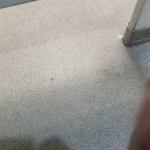 Kodiak kub(4?), $20 Walmart.