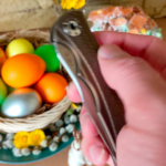 ZT0609 & EASTER time