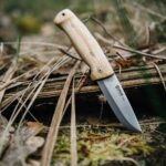 This Norwegian beauty.