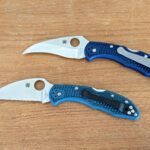 My funky blue delicas!