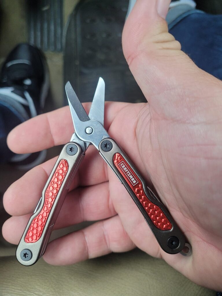 Fun lil thing at $10 bucks