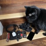 M/60 Friday pocket dump.