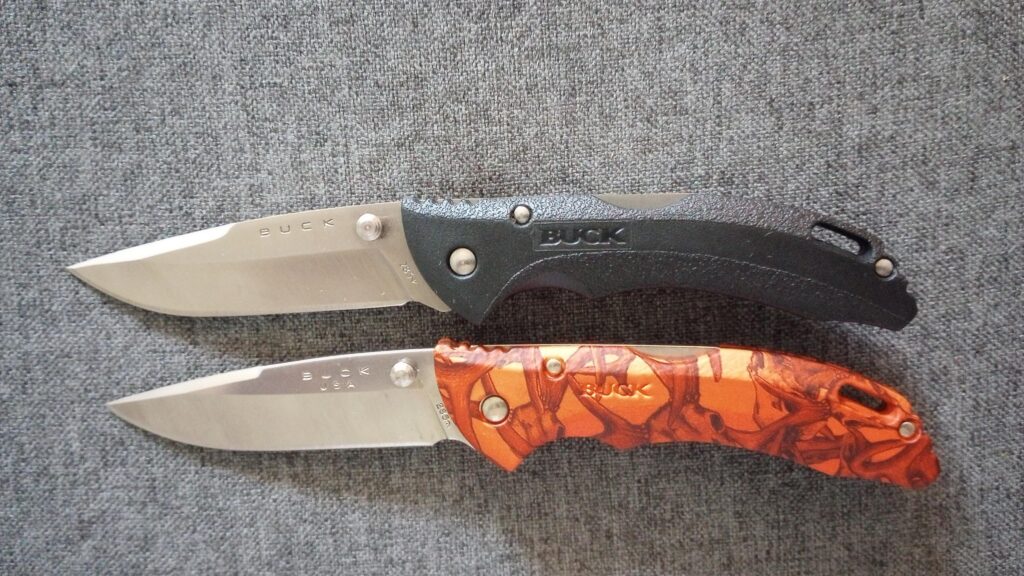 Fraternal Twins