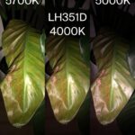 Why do some lights create more glare/reflection than others?