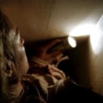 This flashlight is in almost every movie anytime a scene involves a flashlight. Just recently I saw it in Beau is Afraid. What flashlight is this, and why is it always the flashlight in every movie? It’s the same with zippo being the lighter always