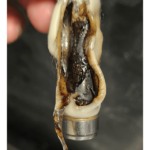 Interesting way to wake up on a Saturday morning...