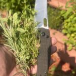 what’s the last thing you cut? i’m out here collecting herbs for dinner.