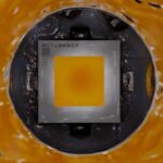 Zebra 719a Microscope Shot