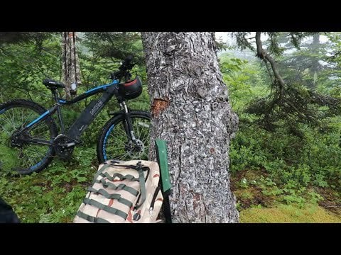 Ebike Hammock Camp, Fish and Cook
