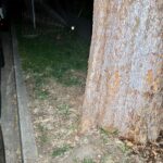 Saved by a Flashlight again!!🕷️🕸️