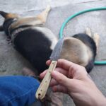 Saturday's carry - have a great weekend!