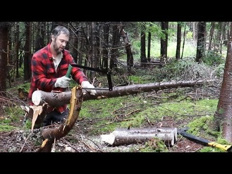 Building A Shelter In The Woods for Winter