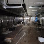 Zebralights in dangerous places...