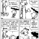 Calvin and Hobbes EDC pioneers