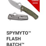 Anyone know exactly when these are hitting the market?