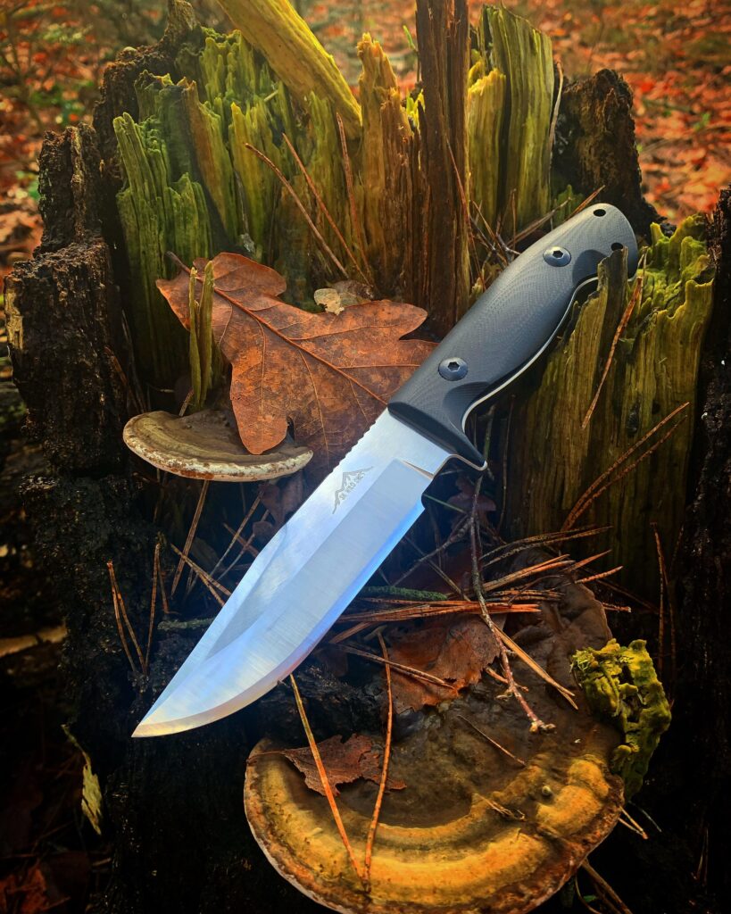 SK Wild Ones Freya
