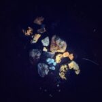 Interesting Find, Joshua Tree