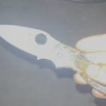 Spyderco chaparral raffir noble scales