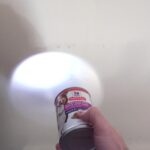 NLD! Got a great deal on this one