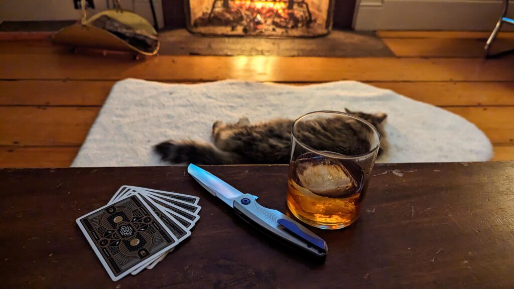 Holt Haptic & Paw Pua New Kitty in front of a fire