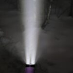 Foggy night and flashlights are fun.