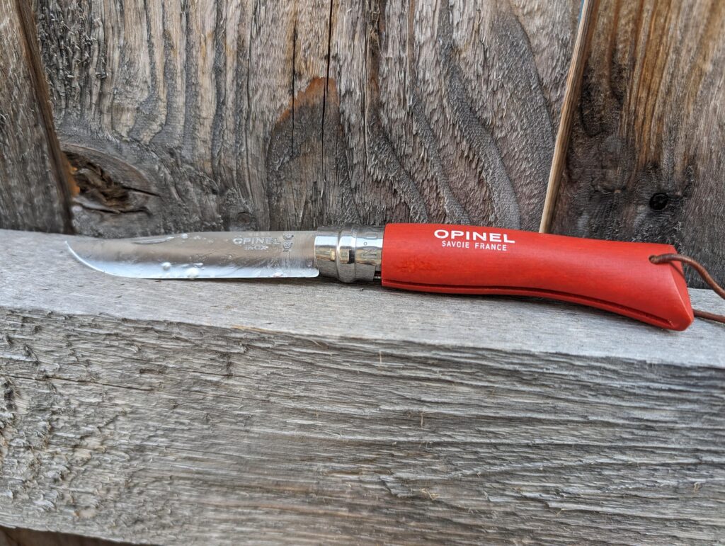 Opinel on my back fence