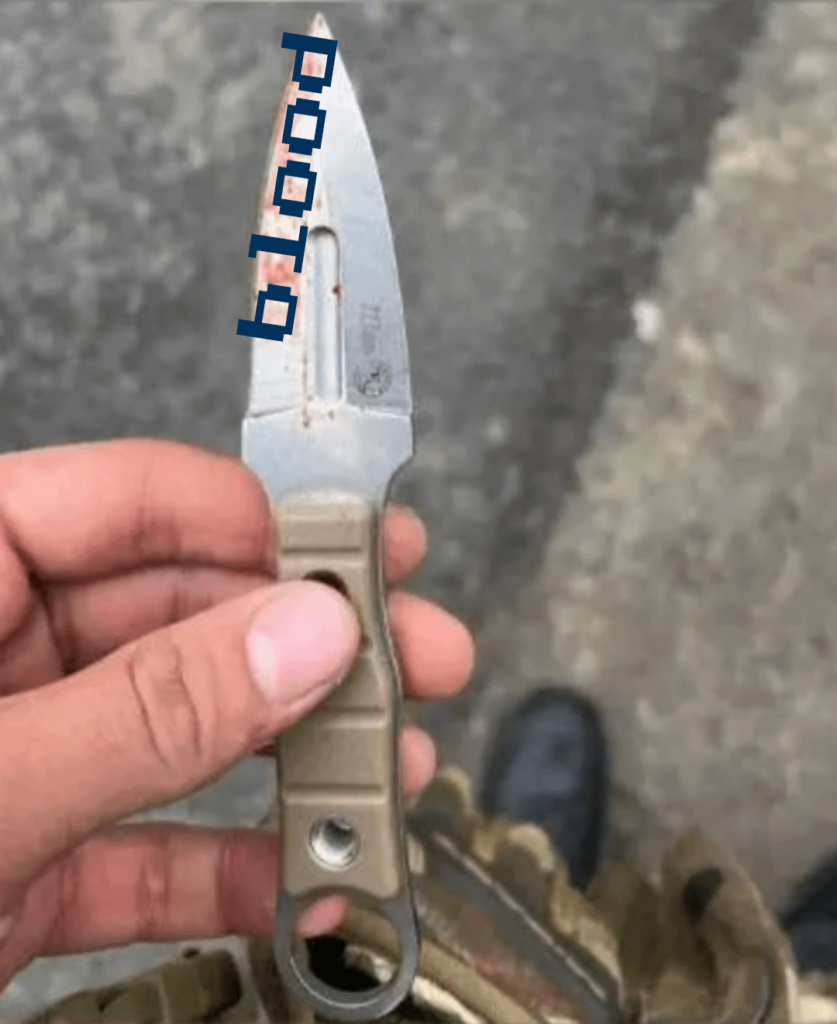 What kind of knife is this ?