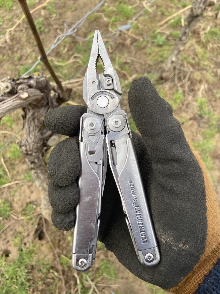 Looking for a replacement