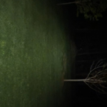 X1 Wuben after mod beam as requested