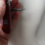 Can anyone tell me what this is?