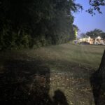 Beamshots from my XPE Cyan/Pink D4K. LOVE