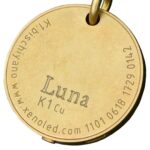 What happened to Xeno???