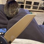 The grind on my new Benchmade bailout.