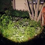 NLD: convoy Z1 and Acebeam e75!!