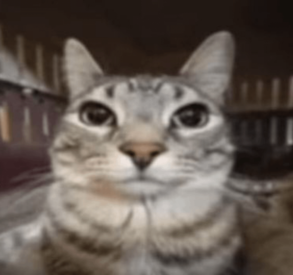 What do you think is the best multitool ever for bushcraft and out doors? Including SAKs and every other multitool.