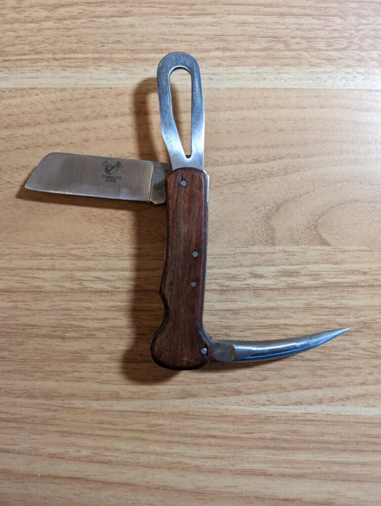 What the heck is this?