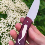 From the sea with love 🐋🌊