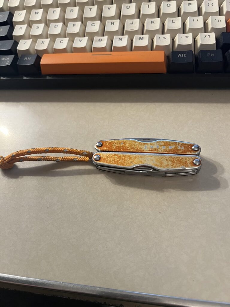 Long term companion Juice S2