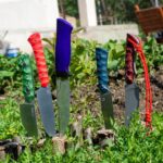 It's colourful in my garden today