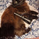 Saw someone posting his brass light with his orange Cat. Post your battlebuddy with your fav flashlight. Bonuspoints if the colours match.